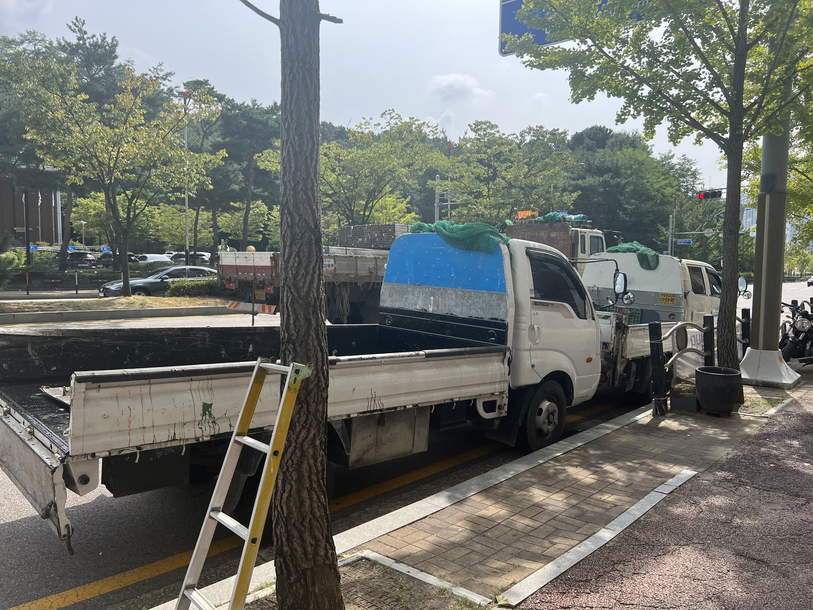 원우철거 보유 작업사진
